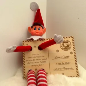 Carte en bois personnalisée – Lutin Farceurs – Retour du lutin de Noël – Message gravé